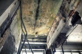 Best Residential Mold Inspection & Testing  in Corte Madera, CA